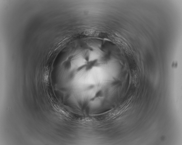 X0000096141154200801251034