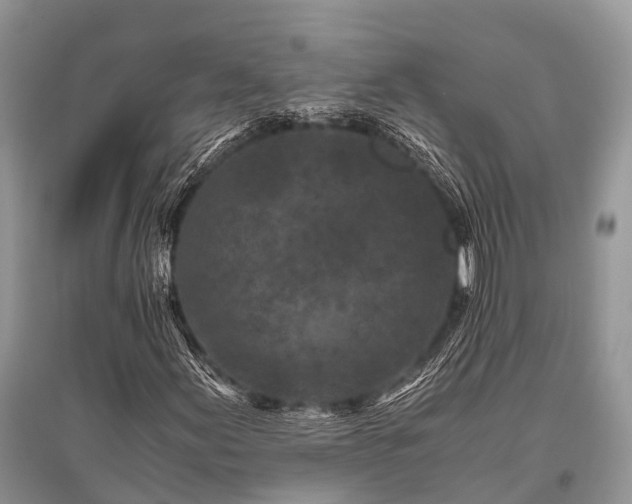 X0000096141155200801251034
