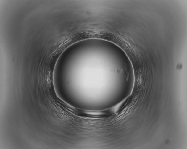 X0000096141156200801251034