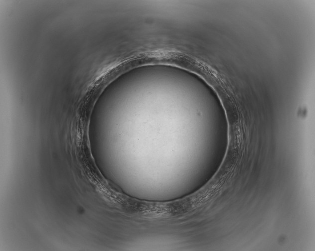 X0000096141158200801251034
