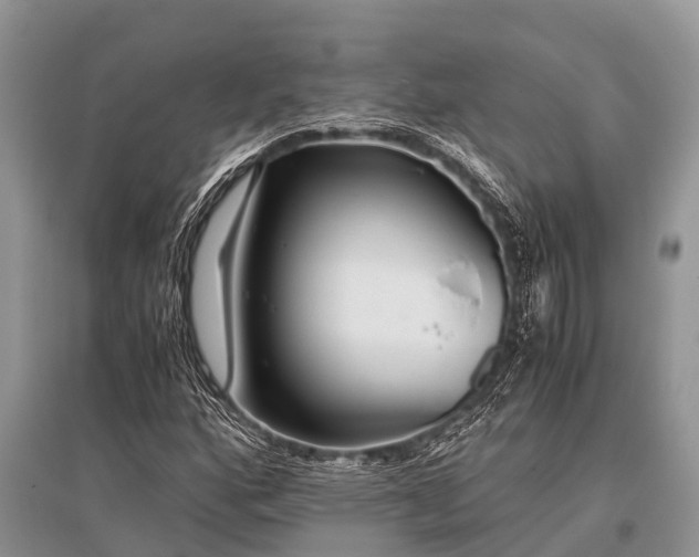 X0000096141160200801251034