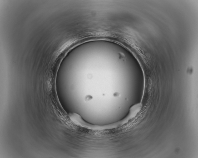 X0000096141163200801251034