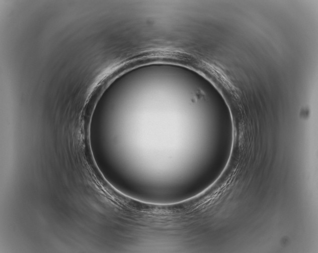 X0000096141164200801251034