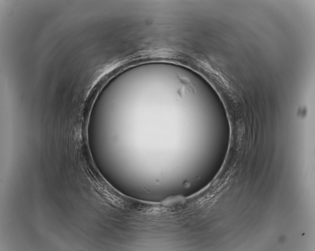 X0000096141166200801251034