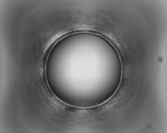 X0000096141167200801251034