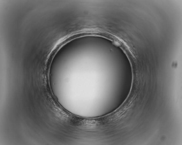 X0000096141168200801251034