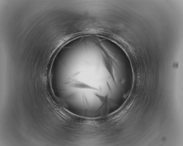 X0000096141170200801251034