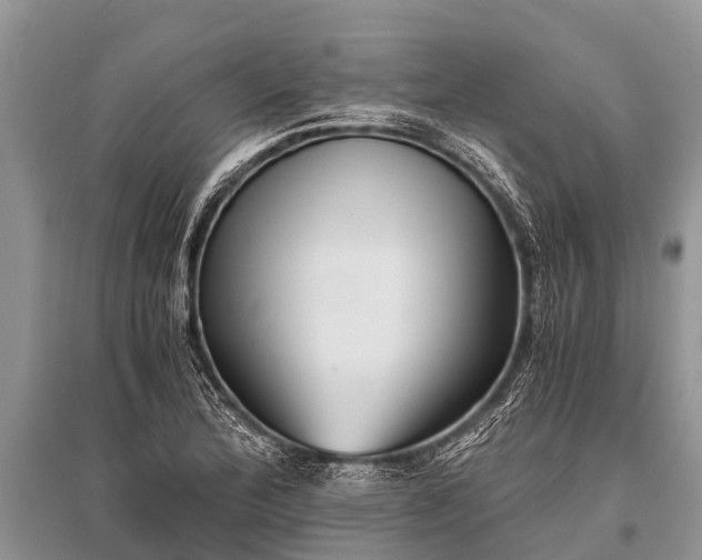 X0000096141172200801251034