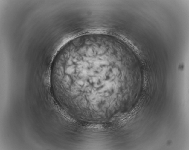 X0000096141174200801251034