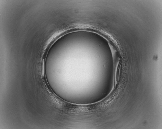 X0000096141175200801251034