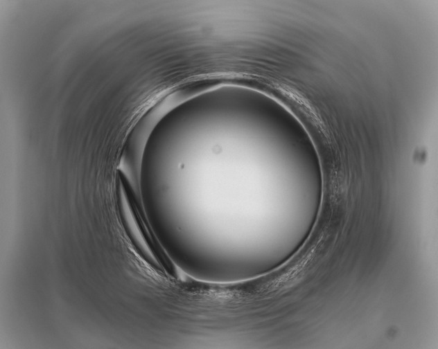 X0000096141177200801251034