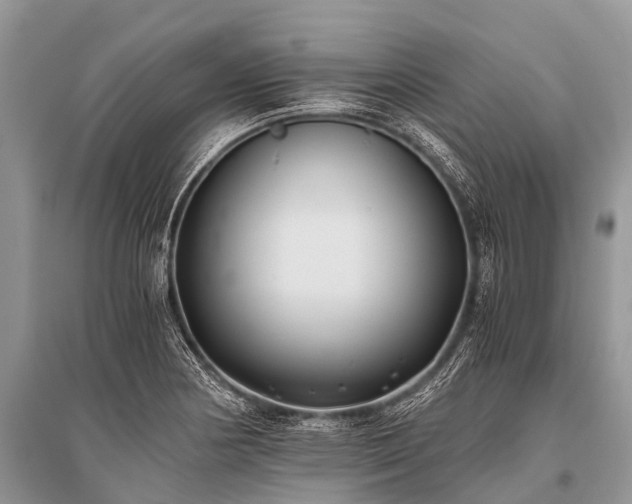 X0000096141178200801251034
