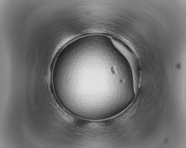 X0000096141179200801251034
