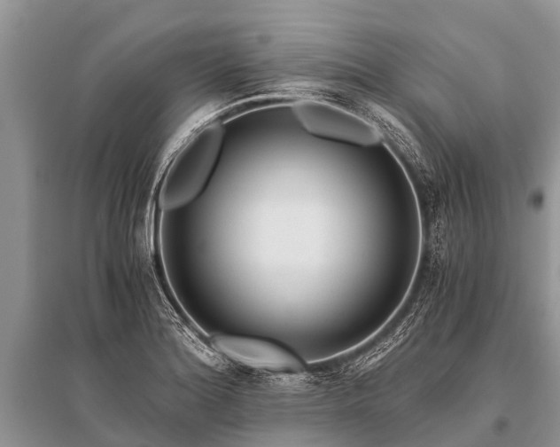 X0000096141180200801251034