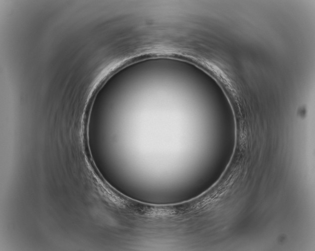 X0000096141183200801251034