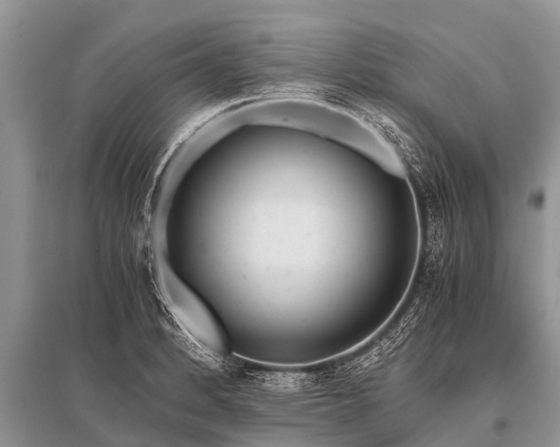 X0000096141184200801251034