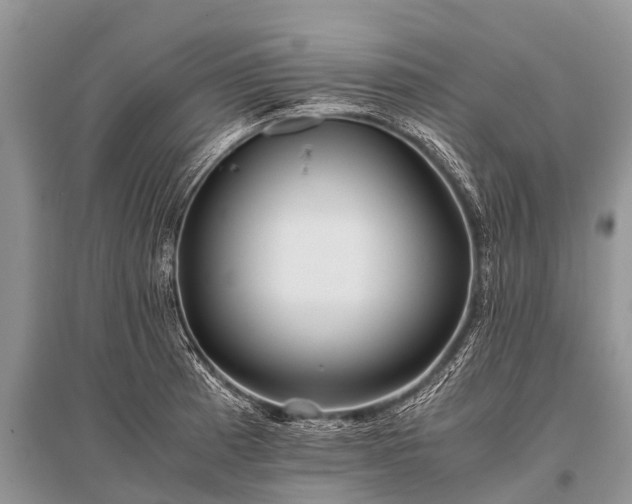 X0000096141185200801251034