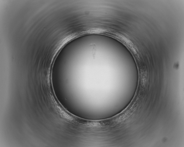 X0000096141186200801251034