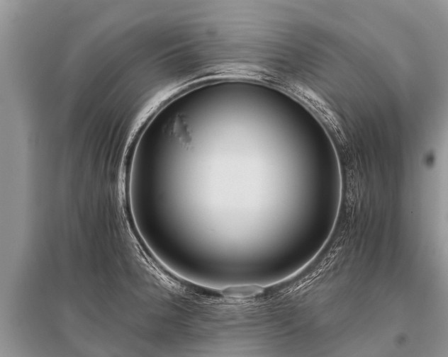 X0000096141188200801251034