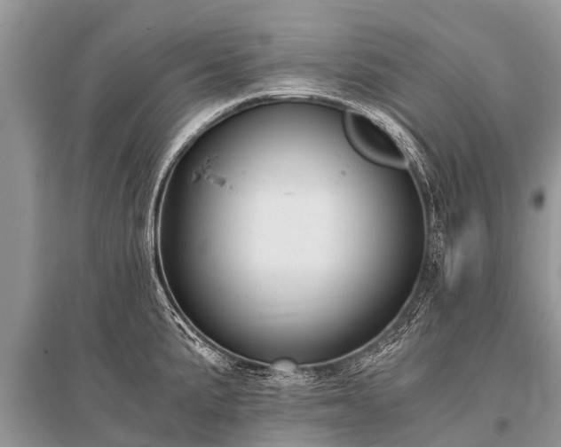 X0000096141191200801251034