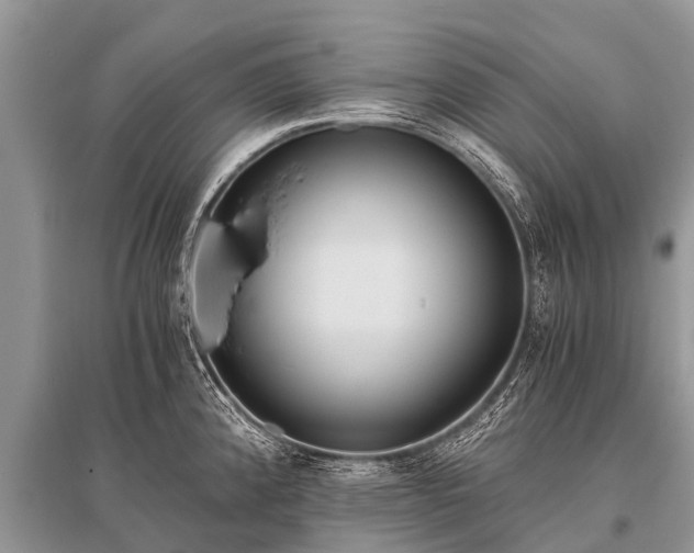 X0000096141192200801251034