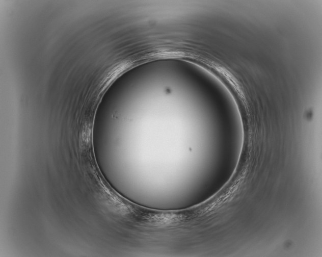 X0000096141193200801251034