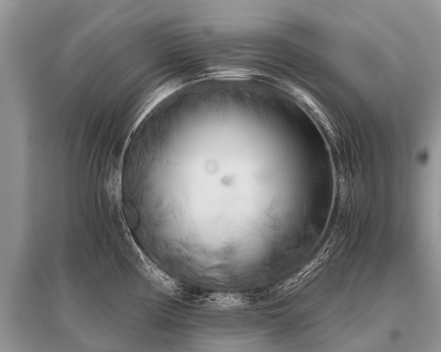 X0000096141194200801251034