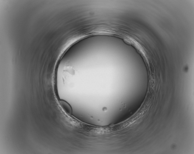 X0000096141195200801251034