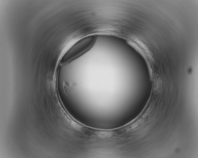 X0000096141196200801251034