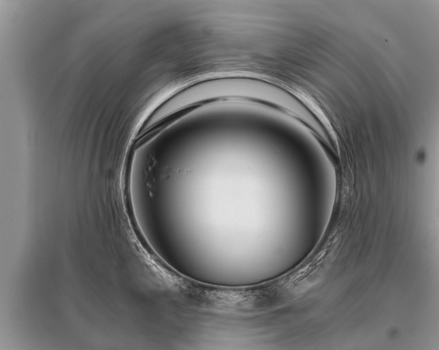 X0000096141197200801251034