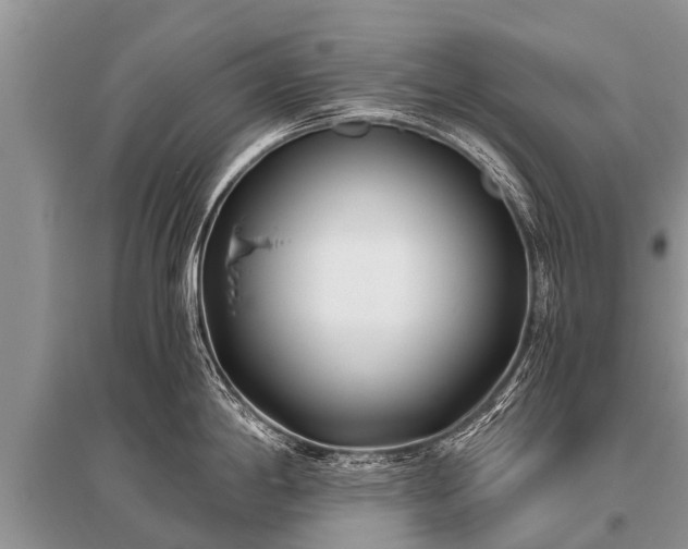 X0000096141198200801251034