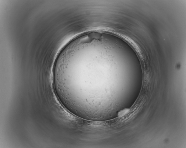X0000096141199200801251034