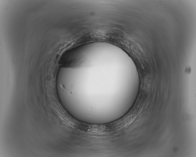 X0000096141201200801251033