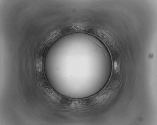 X0000096141203200801251033