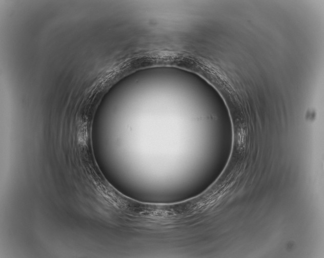 X0000096141204200801251033