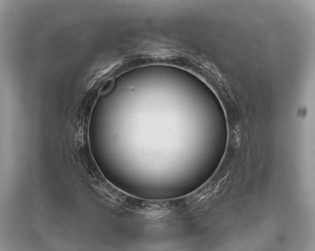 X0000096141205200801251033