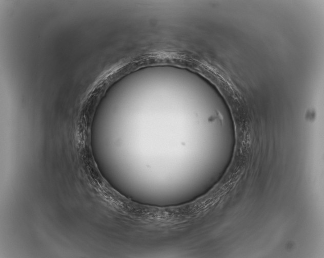 X0000096141207200801251033