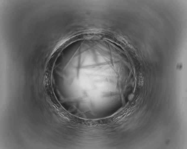 X0000096141208200801251033