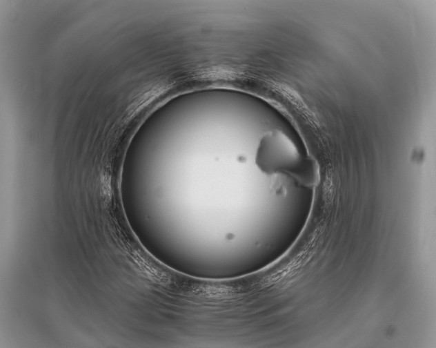 X0000096141209200801251033