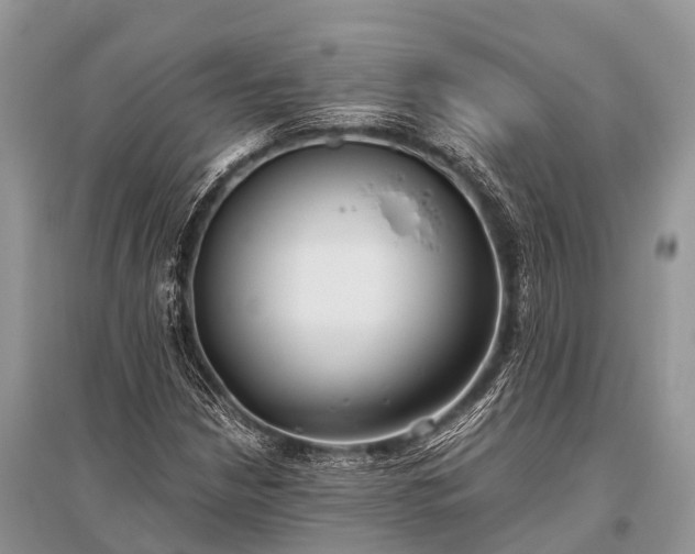 X0000096141210200801251033