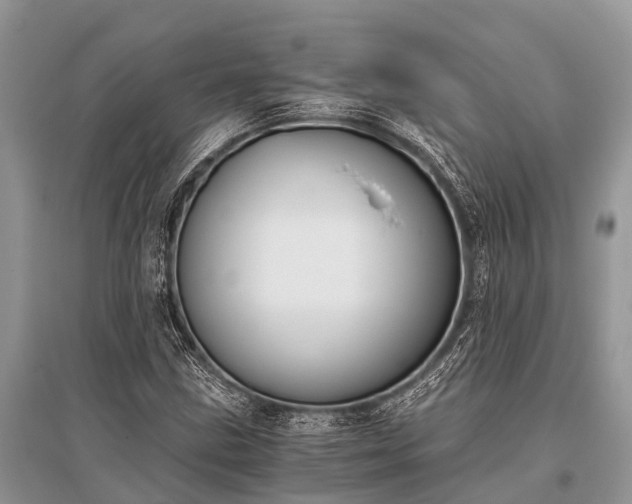 X0000096141211200801251033