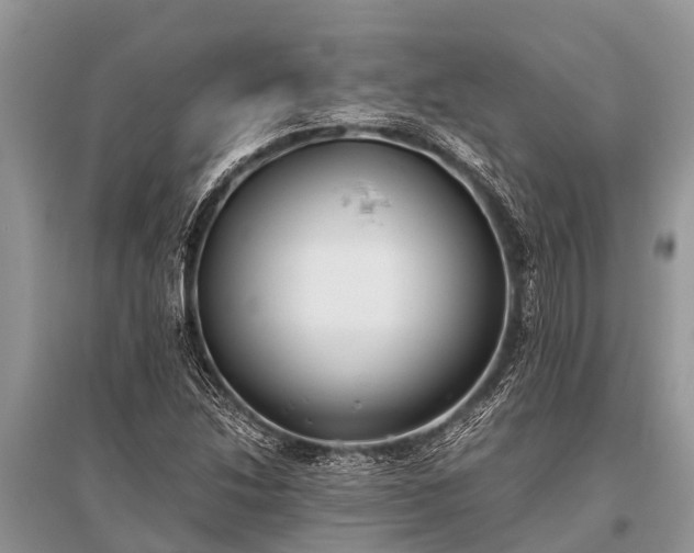 X0000096141214200801251033