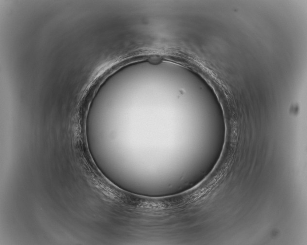 X0000096141215200801251033