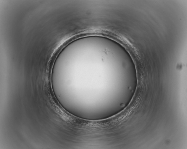 X0000096141216200801251033
