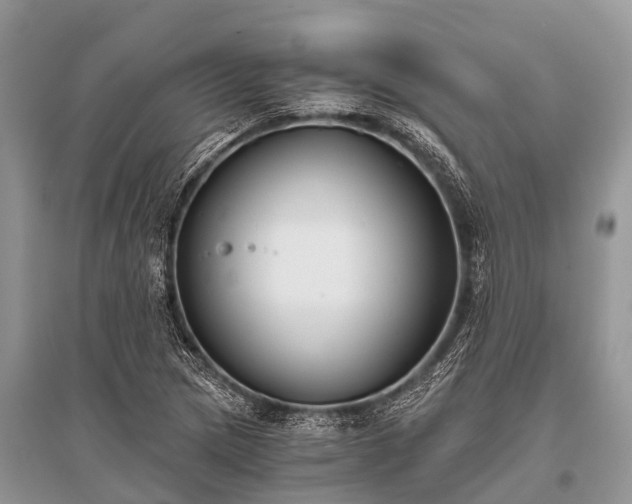 X0000096141217200801251033