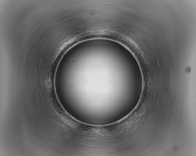 X0000096141218200801251033