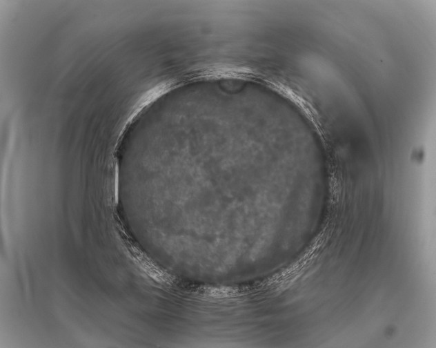 X0000096141219200801251033
