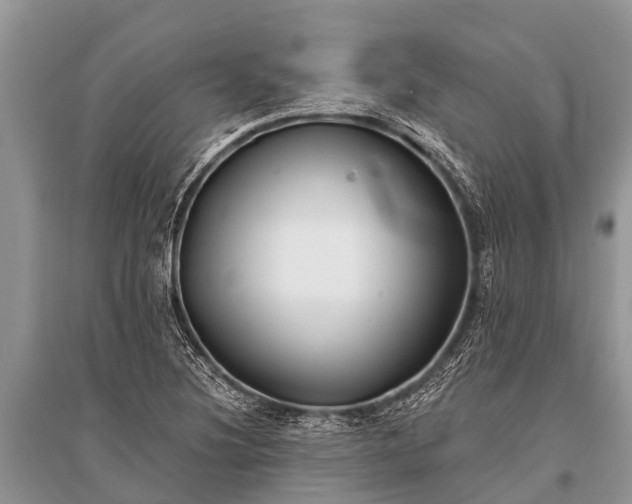 X0000096141220200801251033