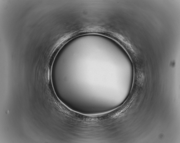 X0000096141221200801251033