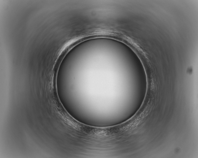 X0000096141222200801251033